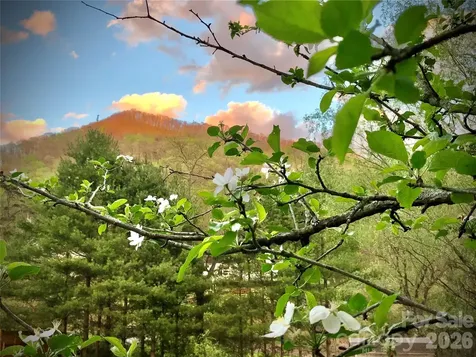 3 Taproot Trail Barnardsville NC 28709