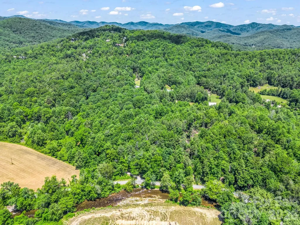 144 Old Homeplace Lane Mills River NC 28759