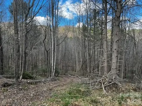 137 Cowboy Lane Hot Springs NC 28743