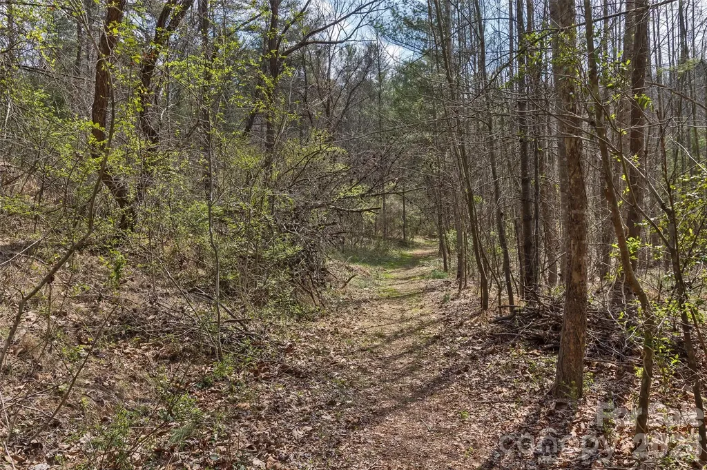37 Creekside View Drive Asheville NC 28804