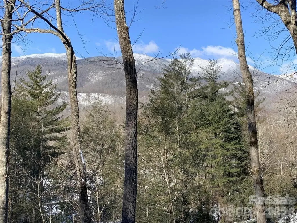 448 Mt. Mitchell Drive Burnsville NC 28714