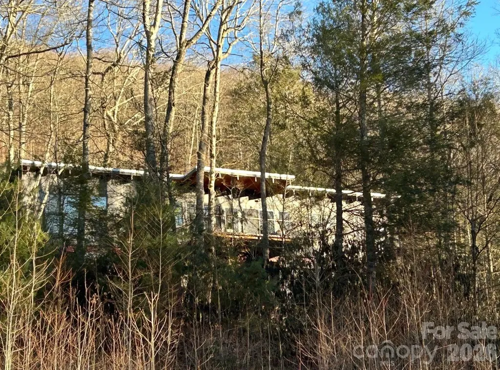 448 Mt. Mitchell Drive Burnsville NC 28714