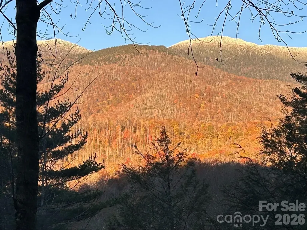 448 Mt. Mitchell Drive Burnsville NC 28714