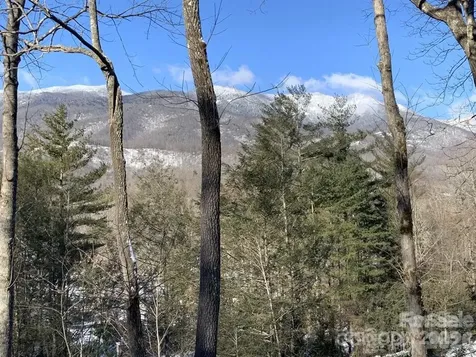 448 Mt. Mitchell Drive Burnsville NC 28714