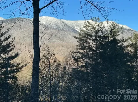 448 Mt. Mitchell Drive Burnsville NC 28714