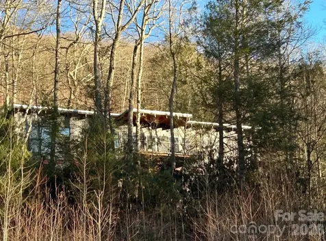 448 Mt. Mitchell Drive Burnsville NC 28714