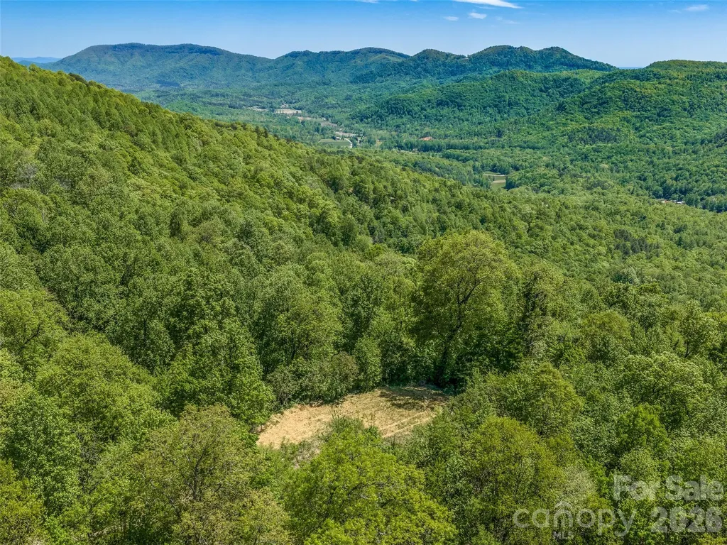 488 Warbler Lane Black Mountain NC 28711