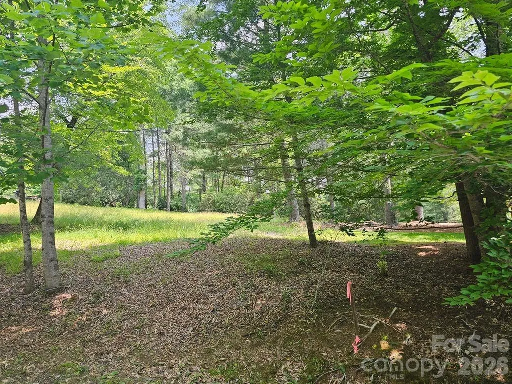 A3 Allison Creek Trail Brevard NC 28712