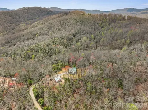 288 Willow Lane Rosman NC 28772