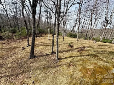 288 Willow Lane Rosman NC 28772