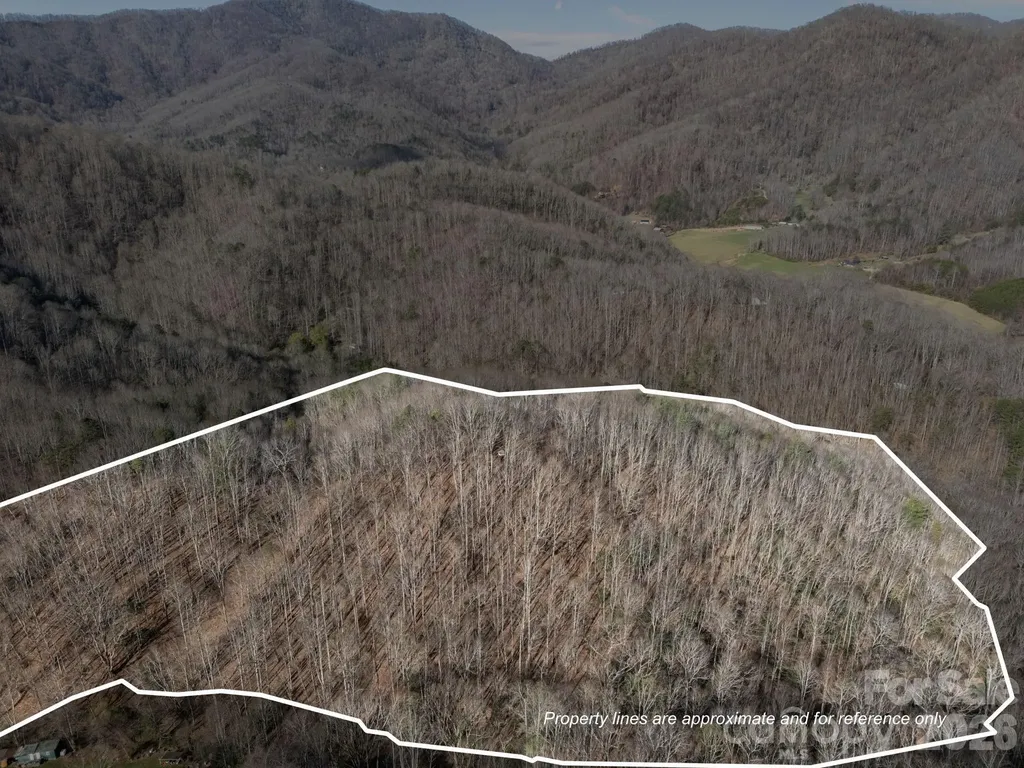 9999 Hidden Cove Road Leicester NC 28748