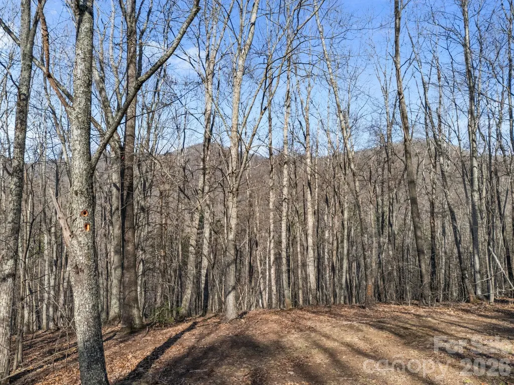 9999 Hidden Cove Road Leicester NC 28748