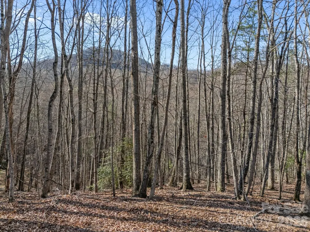 9999 Hidden Cove Road Leicester NC 28748