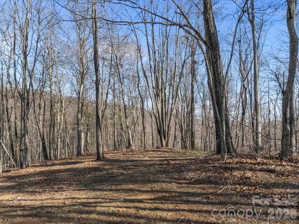9999 Hidden Cove Road Leicester NC 28748