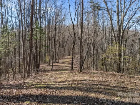9999 Hidden Cove Road Leicester NC 28748