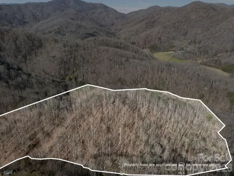 9999 Hidden Cove Road Leicester NC 28748