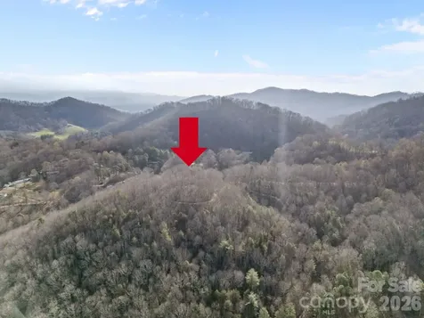 9999 Hidden Cove Road Leicester NC 28748