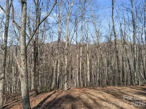 9999 Hidden Cove Road Leicester NC 28748