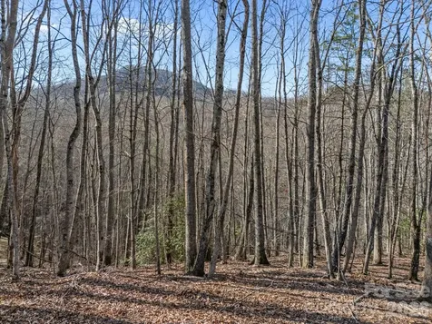 9999 Hidden Cove Road Leicester NC 28748