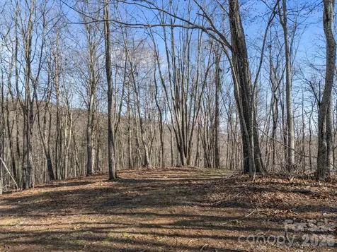 9999 Hidden Cove Road Leicester NC 28748