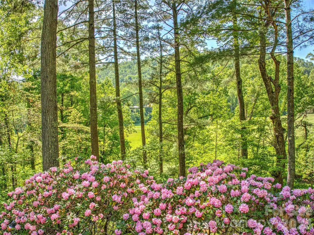 200 Robinhood Road Asheville NC 28804