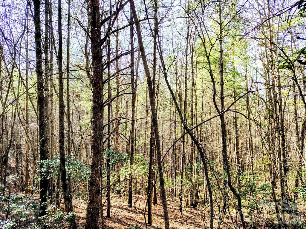 10 Acres Tahoe Trail Collettsville NC 28611