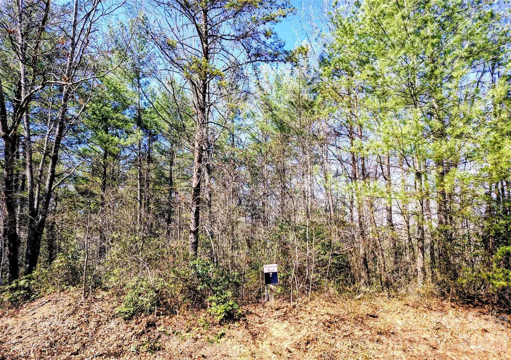 10 Acres Tahoe Trail Collettsville NC 28611