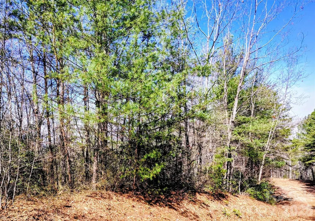 10 Acres Tahoe Trail Collettsville NC 28611