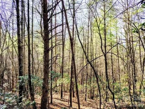 10 Acres Tahoe Trail Collettsville NC 28611