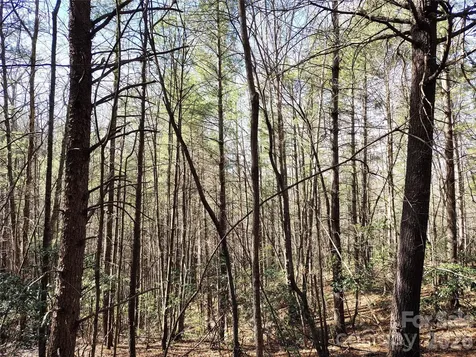 10 Acres Tahoe Trail Collettsville NC 28611