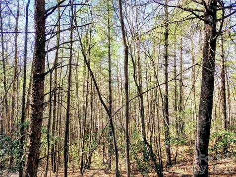 10 Acres Tahoe Trail Collettsville NC 28611