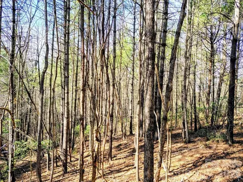 10 Acres Tahoe Trail Collettsville NC 28611