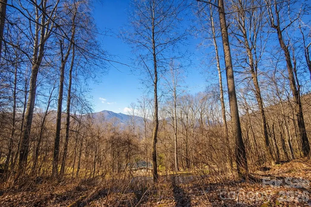 4 Buckeye Road Maggie Valley NC 28751