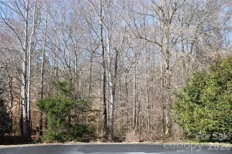 Lot 13 Weatherfield Drive Lincolnton NC 28092