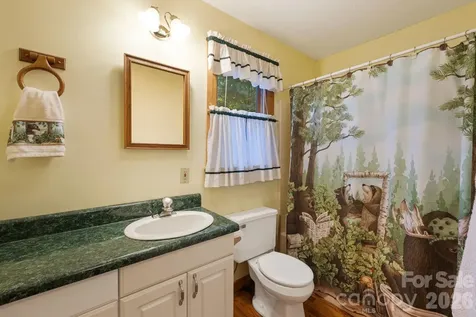 180 Grace Way Green Mountain NC 28740