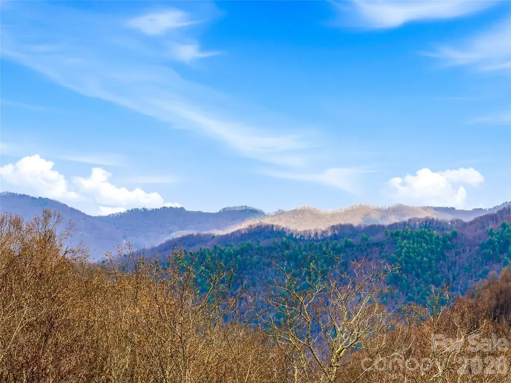 131 White Oak Way Hot Springs NC 28743