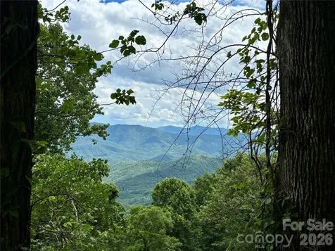 203 Laurel Lane Little Switzerland NC 28749
