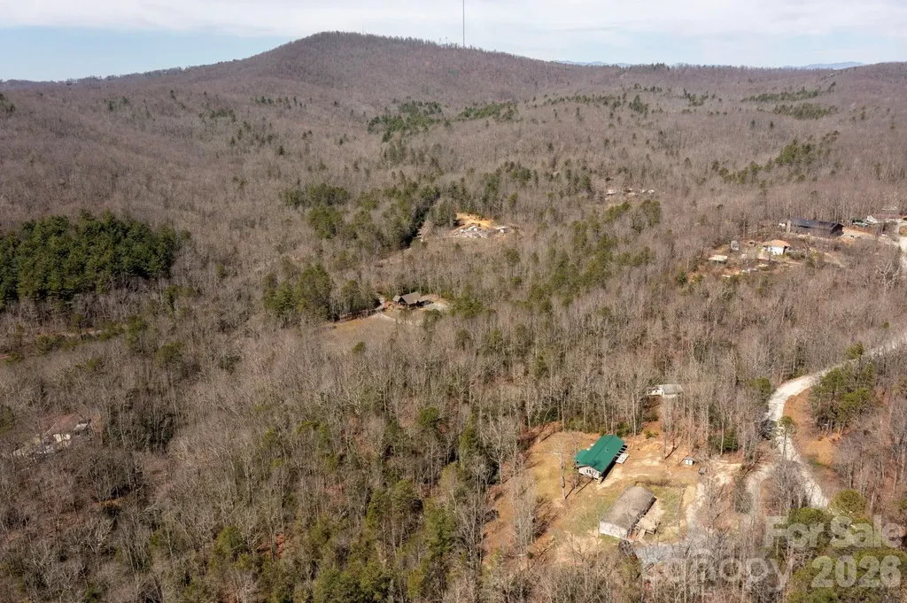 1064 Deer Chase Circle Cedar Mountain NC 28718