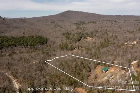 1064 Deer Chase Circle Cedar Mountain NC 28718