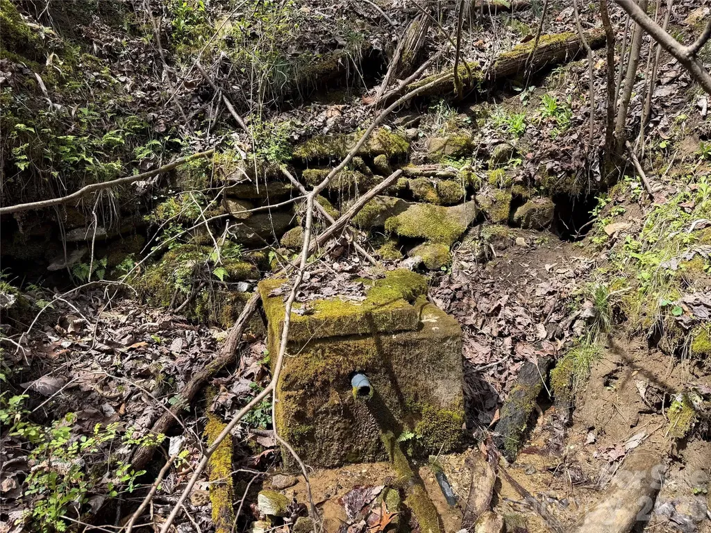 99999 Bumgarner Cemetery Road Whittier NC 28789