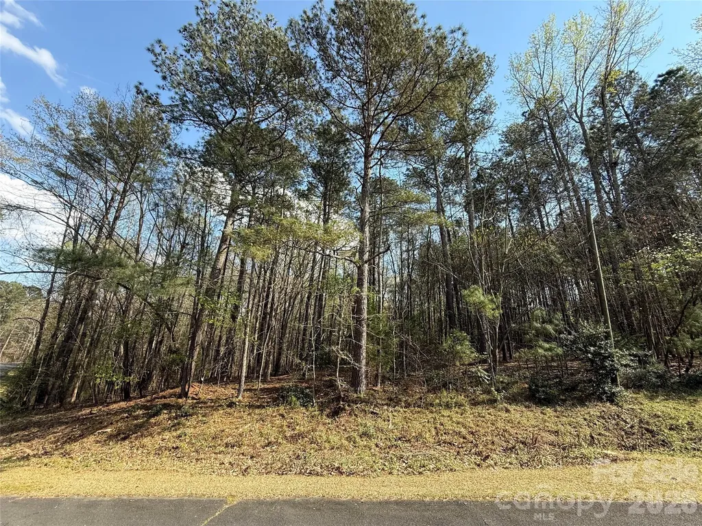 Tbd E Goldmine Road Wadesboro NC 28170