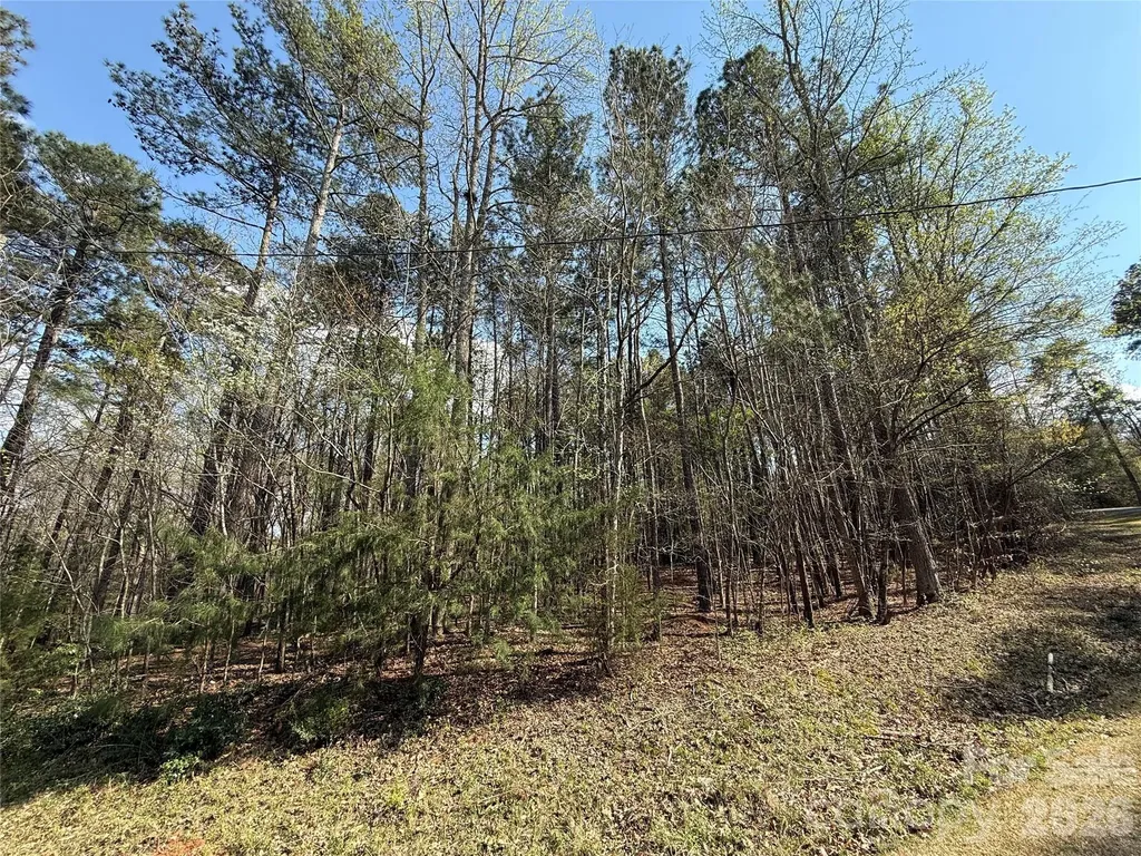 Tbd E Goldmine Road Wadesboro NC 28170