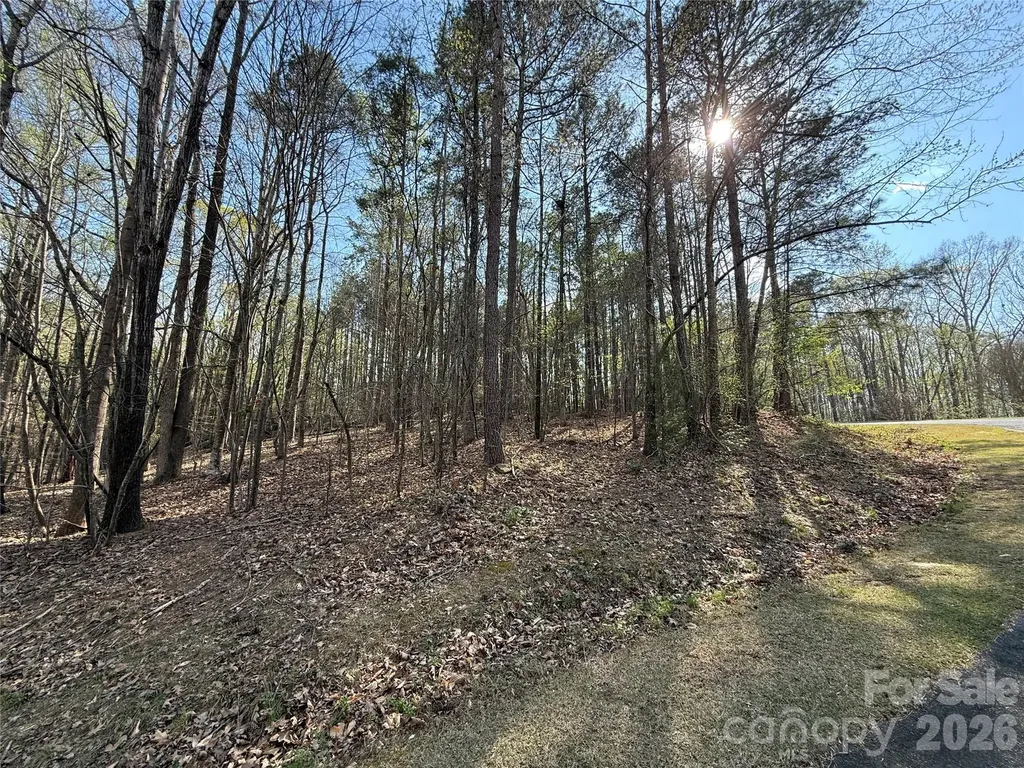 Tbd E Goldmine Road Wadesboro NC 28170