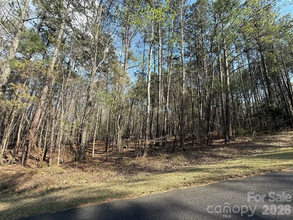 Tbd E Goldmine Road Wadesboro NC 28170