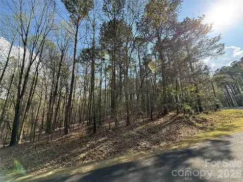 Tbd E Goldmine Road Wadesboro NC 28170