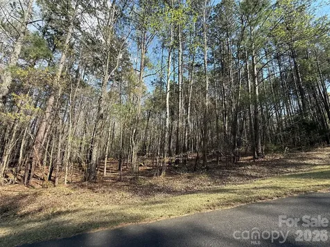 Tbd E Goldmine Road Wadesboro NC 28170