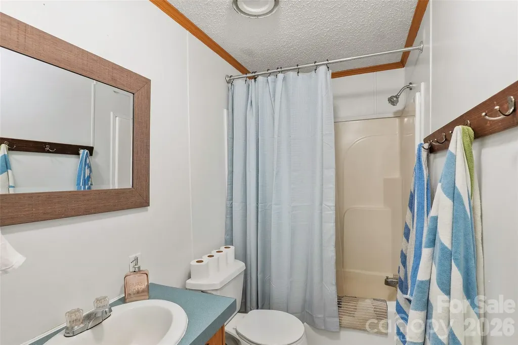 611 Turkey Creek Terrace Leicester NC 28748