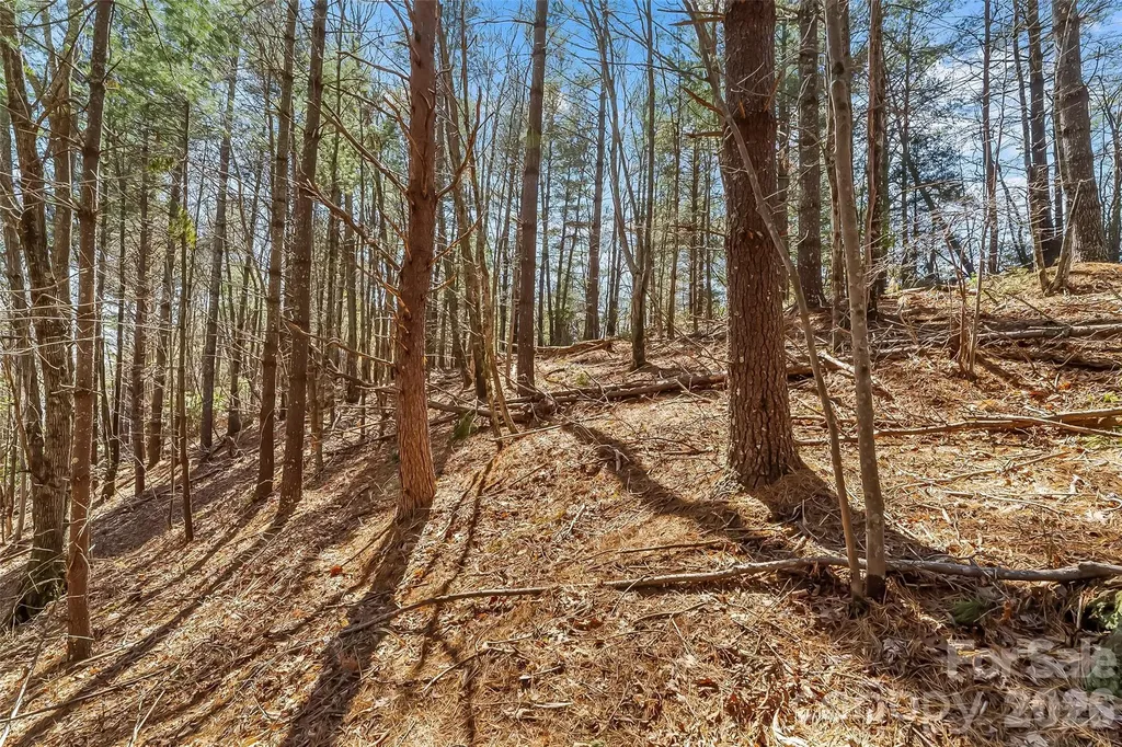 121 Lake Crest Drive Nebo NC 28761
