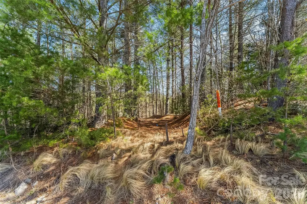 121 Lake Crest Drive Nebo NC 28761