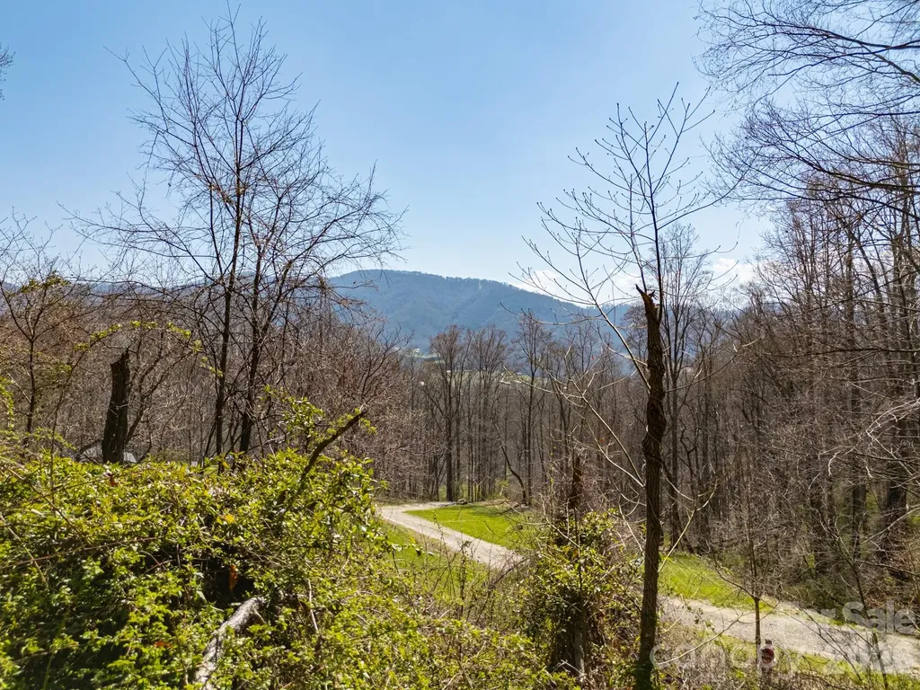Tbd Dads Retreat Trail Canton NC 28716